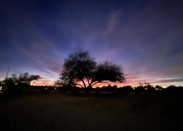 The 303 In The Desert - Whole House
